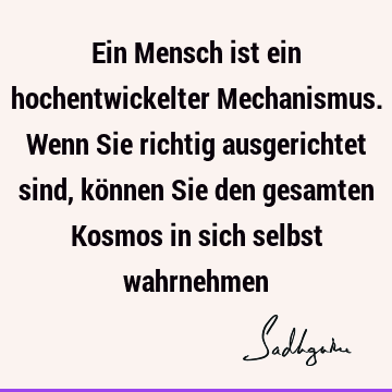 Ein Mensch ist ein hochentwickelter Mechanismus. Wenn Sie richtig ausgerichtet sind, können Sie den gesamten Kosmos in sich selbst