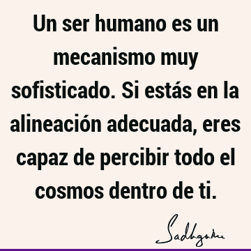 Un ser humano es un mecanismo muy sofisticado. Si estás en la alineación adecuada, eres capaz de percibir todo el cosmos dentro de