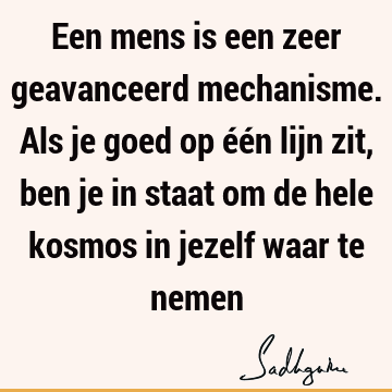 Een mens is een zeer geavanceerd mechanisme. Als je goed op één lijn zit, ben je in staat om de hele kosmos in jezelf waar te