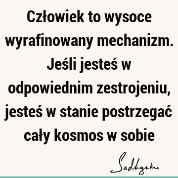 Człowiek to wysoce wyrafinowany mechanizm. Jeśli jesteś w odpowiednim zestrojeniu, jesteś w stanie postrzegać cały kosmos w