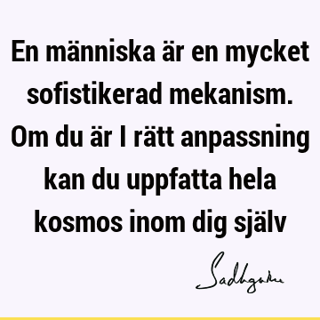 En människa är en mycket sofistikerad mekanism. Om du är i rätt anpassning kan du uppfatta hela kosmos inom dig sjä