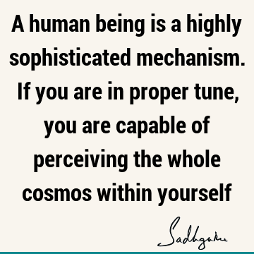 A human being is a highly sophisticated mechanism. If you are in proper tune, you are capable of perceiving the whole cosmos within
