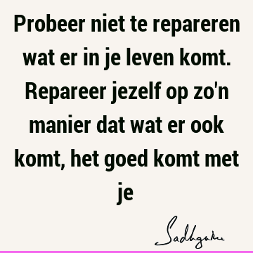 Probeer niet te repareren wat er in je leven komt. Repareer jezelf op zo