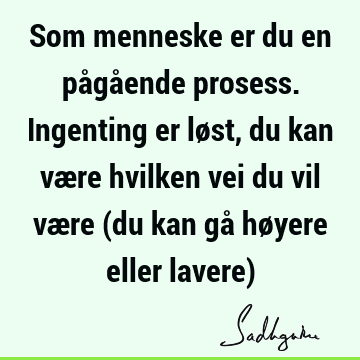 Som menneske er du en pågående prosess. Ingenting er løst, du kan være hvilken vei du vil være (du kan gå høyere eller lavere)