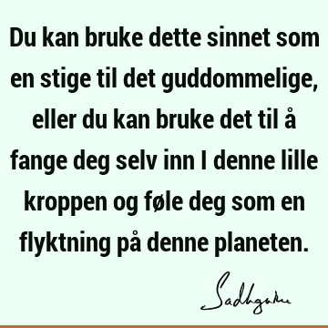 Du kan bruke dette sinnet som en stige til det guddommelige, eller du kan bruke det til å fange deg selv inn i denne lille kroppen og føle deg som en flyktning