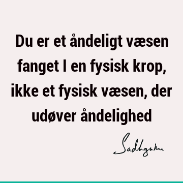 Du er et åndeligt væsen fanget i en fysisk krop, ikke et fysisk væsen, der udøver å