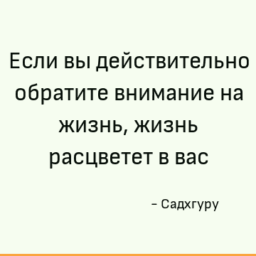 Если вы действительно обратите внимание на жизнь, жизнь расцветет в вас