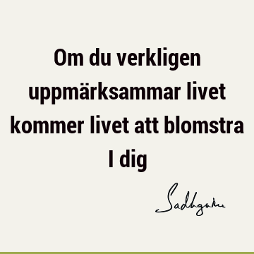 Om du verkligen uppmärksammar livet kommer livet att blomstra i