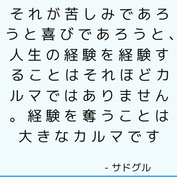 それが苦しみであろうと喜びであろうと、人生の経験を経験することはそれほどカルマではありません。 経験を奪うことは大きなカルマです