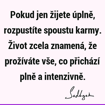 Pokud jen žijete úplně, rozpustíte spoustu karmy. Život zcela znamená, že prožíváte vše, co přichází plně a intenzivně