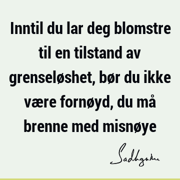 Inntil du lar deg blomstre til en tilstand av grenseløshet, bør du ikke være fornøyd, du må brenne med misnø