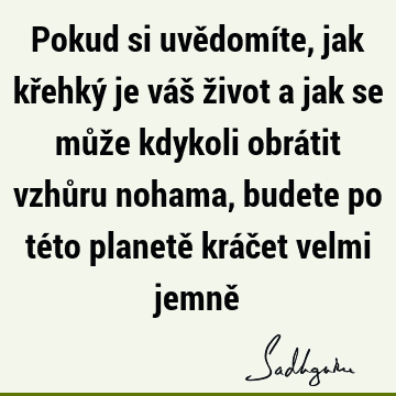 Pokud si uvědomíte, jak křehký je váš život a jak se může kdykoli obrátit vzhůru nohama, budete po této planetě kráčet velmi jemně