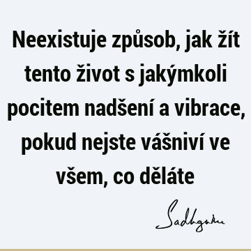 Neexistuje způsob, jak žít tento život s jakýmkoli pocitem nadšení a vibrace, pokud nejste vášniví ve všem, co dělá