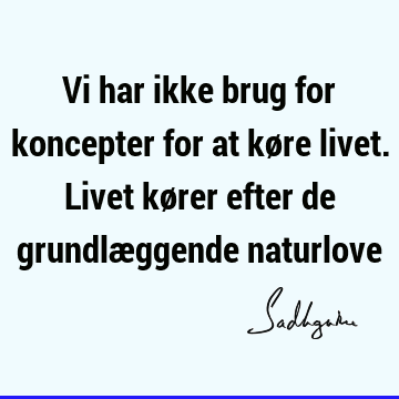 Vi har ikke brug for koncepter for at køre livet. Livet kører efter de grundlæggende