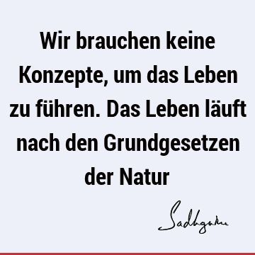 Wir brauchen keine Konzepte, um das Leben zu führen. Das Leben läuft nach den Grundgesetzen der N