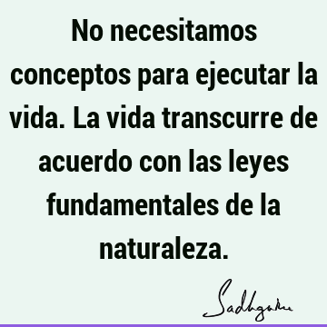 No necesitamos conceptos para ejecutar la vida. La vida transcurre de acuerdo con las leyes fundamentales de la