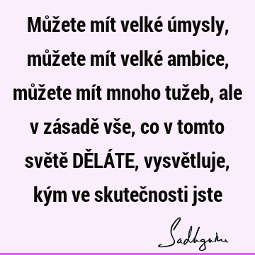 Můžete mít velké úmysly, můžete mít velké ambice, můžete mít mnoho tužeb, ale v zásadě vše, co v tomto světě DĚLÁTE, vysvětluje, kým ve skutečnosti