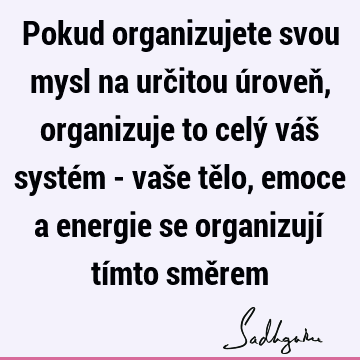 Pokud organizujete svou mysl na určitou úroveň, organizuje to celý váš systém - vaše tělo, emoce a energie se organizují tímto smě