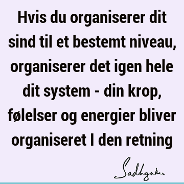 Hvis du organiserer dit sind til et bestemt niveau, organiserer det igen hele dit system - din krop, følelser og energier bliver organiseret i den