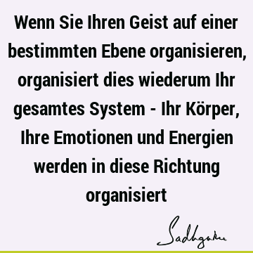 Wenn Sie Ihren Geist auf einer bestimmten Ebene organisieren, organisiert dies wiederum Ihr gesamtes System - Ihr Körper, Ihre Emotionen und Energien werden in