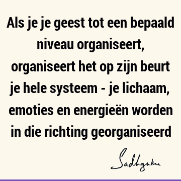 Als je je geest tot een bepaald niveau organiseert, organiseert het op zijn beurt je hele systeem - je lichaam, emoties en energieën worden in die richting