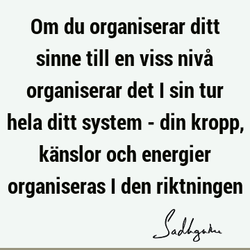 Om du organiserar ditt sinne till en viss nivå organiserar det i sin tur hela ditt system - din kropp, känslor och energier organiseras i den