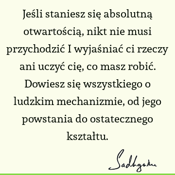 Jeśli staniesz się absolutną otwartością, nikt nie musi przychodzić i wyjaśniać ci rzeczy ani uczyć cię, co masz robić. Dowiesz się wszystkiego o ludzkim