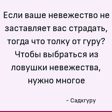 Если ваше невежество не заставляет вас страдать, тогда что толку от гуру? Чтобы выбраться из ловушки невежества, нужно многое
