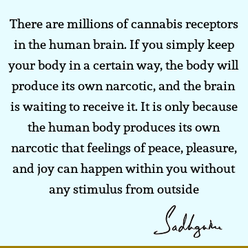 There are millions of cannabis receptors in the human brain. If you simply keep your body in a certain way, the body will produce its own narcotic, and the