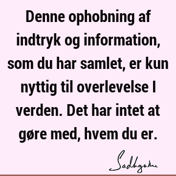 Denne ophobning af indtryk og information, som du har samlet, er kun nyttig til overlevelse i verden. Det har intet at gøre med, hvem du