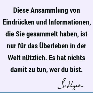 Diese Ansammlung von Eindrücken und Informationen, die Sie gesammelt haben, ist nur für das Überleben in der Welt nützlich. Es hat nichts damit zu tun, wer du