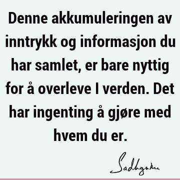 Denne akkumuleringen av inntrykk og informasjon du har samlet, er bare nyttig for å overleve i verden. Det har ingenting å gjøre med hvem du