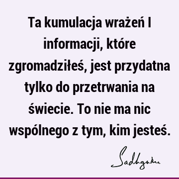 Ta kumulacja wrażeń i informacji, które zgromadziłeś, jest przydatna tylko do przetrwania na świecie. To nie ma nic wspólnego z tym, kim jesteś