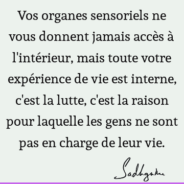 Vos organes sensoriels ne vous donnent jamais accès à l