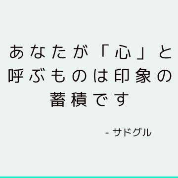 あなたが「心」と呼ぶものは印象の蓄積です