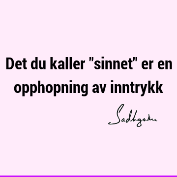 Det du kaller "sinnet" er en opphopning av