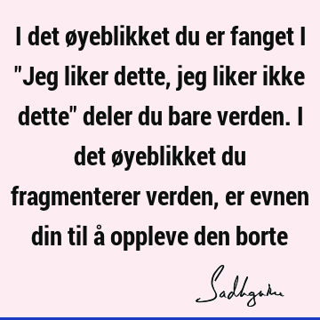 I det øyeblikket du er fanget i "Jeg liker dette, jeg liker ikke dette" deler du bare verden. I det øyeblikket du fragmenterer verden, er evnen din til å