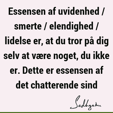 Essensen af uvidenhed / smerte / elendighed / lidelse er, at du tror på dig selv at være noget, du ikke er. Dette er essensen af det chatterende