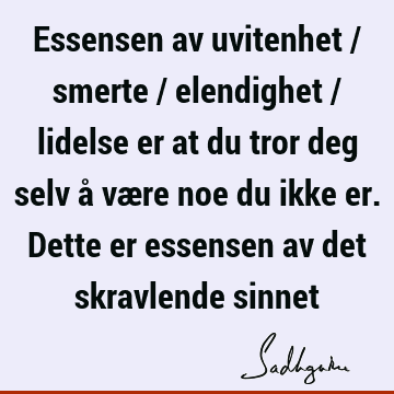 Essensen av uvitenhet / smerte / elendighet / lidelse er at du tror deg selv å være noe du ikke er. Dette er essensen av det skravlende