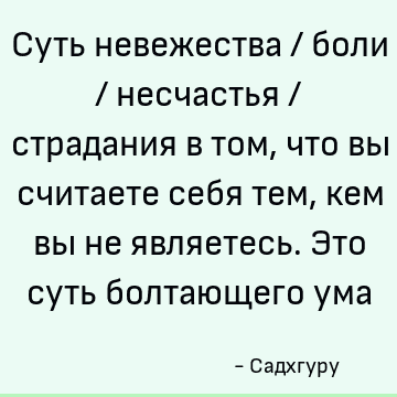 Суть невежества / боли / несчастья / страдания в том, что вы считаете себя тем, кем вы не являетесь. Это суть болтающего ума