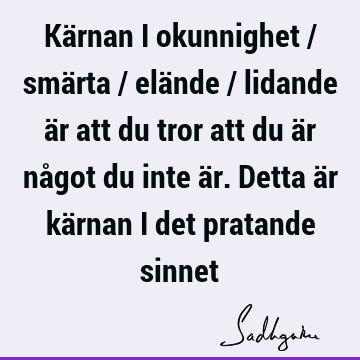 Kärnan i okunnighet / smärta / elände / lidande är att du tror att du är något du inte är. Detta är kärnan i det pratande