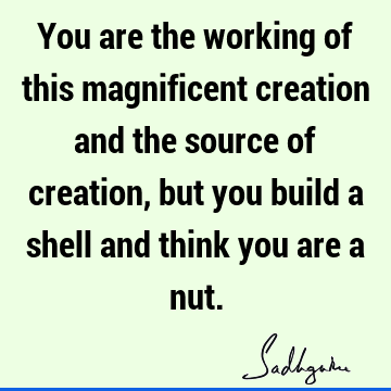 You are the working of this magnificent creation and the source of creation, but you build a shell and think you are a