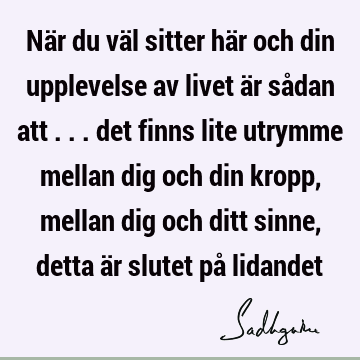 När du väl sitter här och din upplevelse av livet är sådan att ... det finns lite utrymme mellan dig och din kropp, mellan dig och ditt sinne, detta är slutet