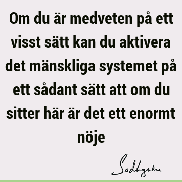 Om du är medveten på ett visst sätt kan du aktivera det mänskliga systemet på ett sådant sätt att om du sitter här är det ett enormt nö