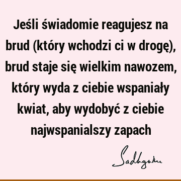 Jeśli świadomie reagujesz na brud (który wchodzi ci w drogę), brud staje się wielkim nawozem, który wyda z ciebie wspaniały kwiat, aby wydobyć z ciebie