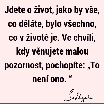 Jdete o život, jako by vše, co děláte, bylo všechno, co v životě je. Ve chvíli, kdy věnujete malou pozornost, pochopíte: „To není ono.“