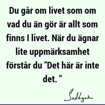 Du går om livet som om vad du än gör är allt som finns i livet. När du ägnar lite uppmärksamhet förstår du "Det här är inte det."