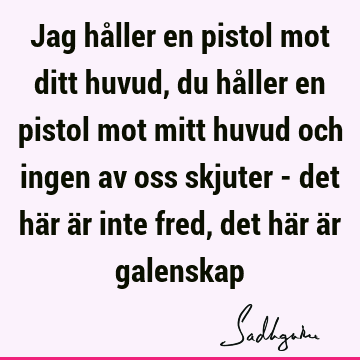 Jag håller en pistol mot ditt huvud, du håller en pistol mot mitt huvud och ingen av oss skjuter - det här är inte fred, det här är