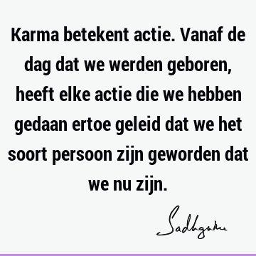 Karma betekent actie. Vanaf de dag dat we werden geboren, heeft elke actie die we hebben gedaan ertoe geleid dat we het soort persoon zijn geworden dat we nu