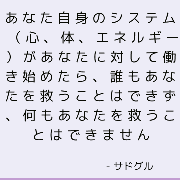 あなた自身のシステム（心、体、エネルギー）があなたに対して働き始めたら、誰もあなたを救うことはできず、何もあなたを救うことはできません